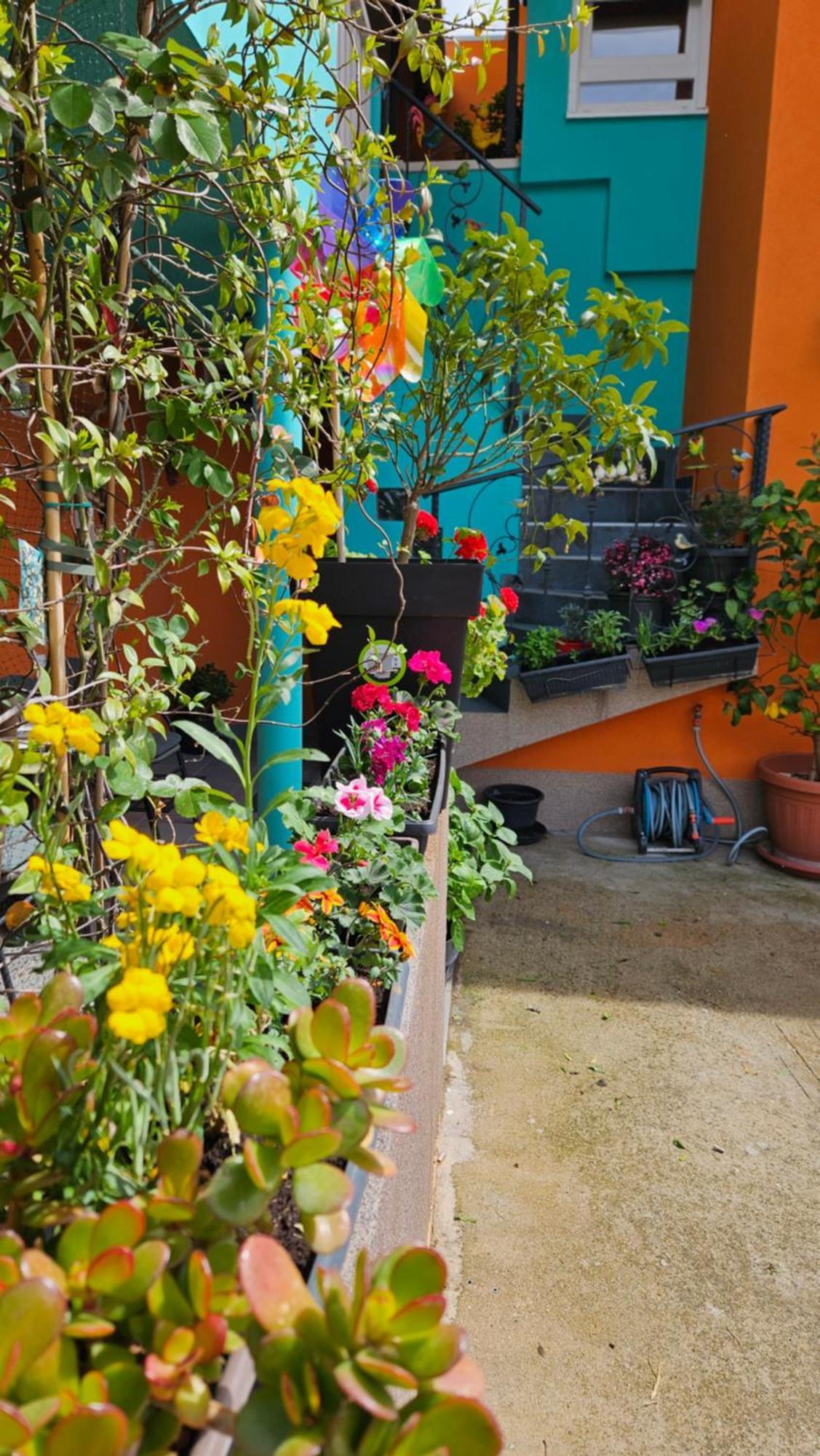Mexicana Apartment Yellow Zára Kültér fotó